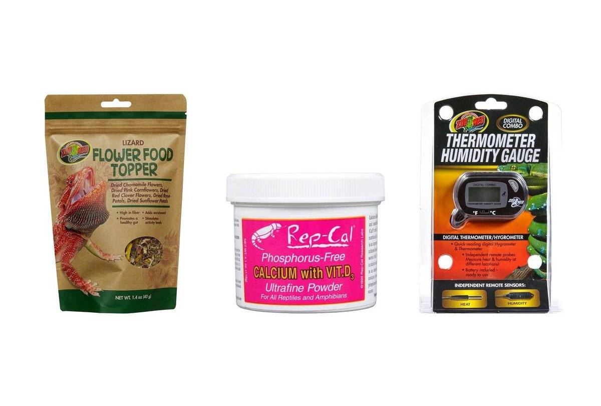 Buy reptile supplies best sale