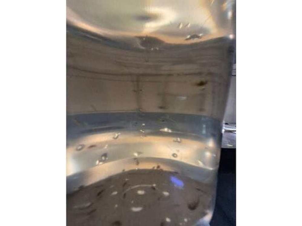 200ct Live Scuds Hyalella azteca Auction
