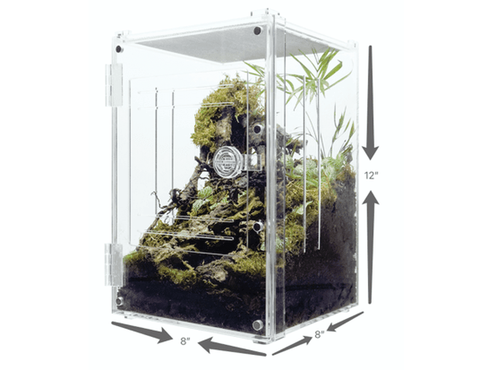 Herpcult Acrylic Enclosure Front-Opening Small (With slits and lock) 8"x8"x12" Herpcult