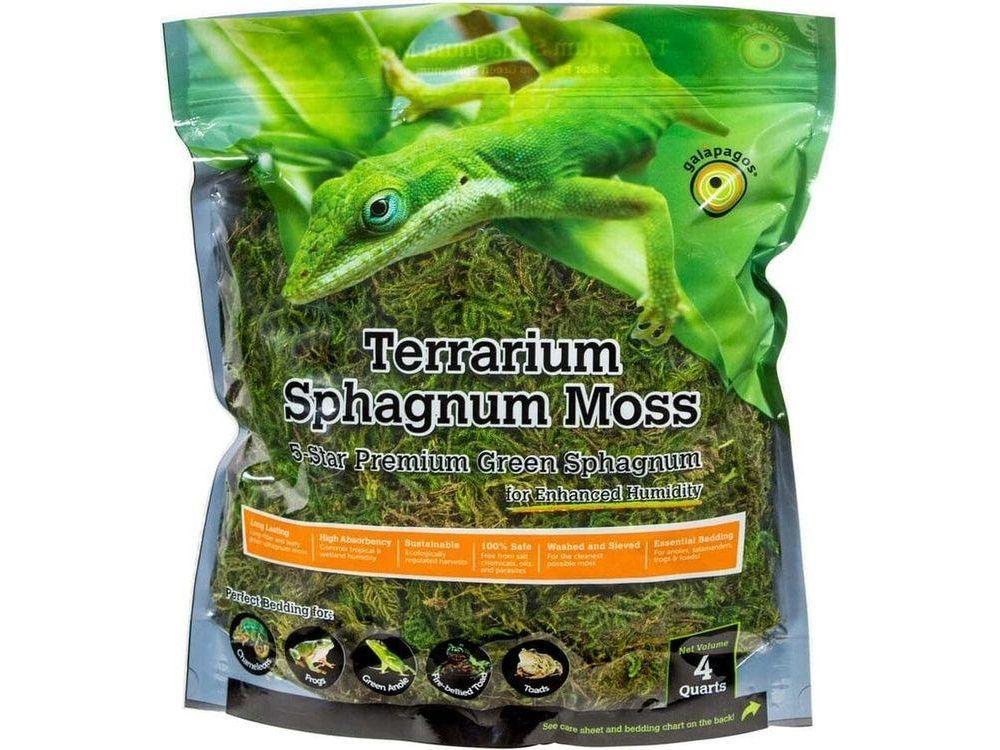 Galapagos Green Sphagnum Moss, 4qt Galapagos