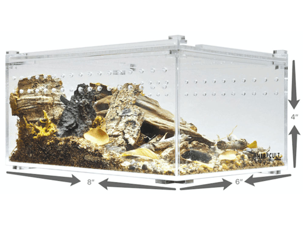 Curated visual reference: Picture Idea: Herpcult Acrylic Enclosure Small Flat 8 X6 X4