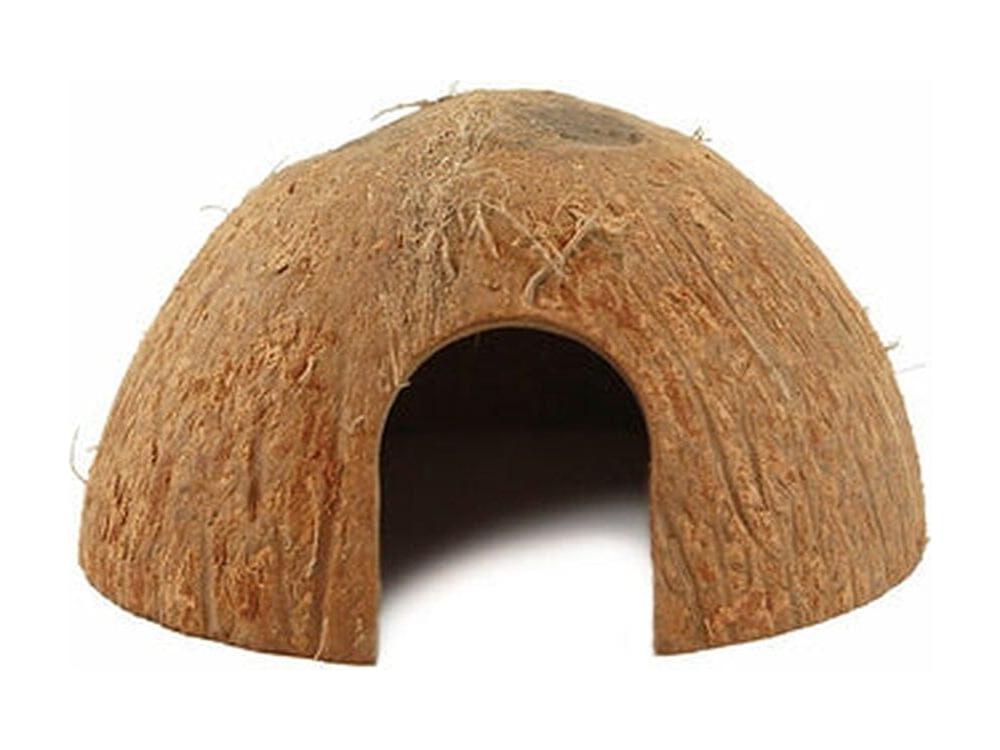 Pangea CocoHut Pangea