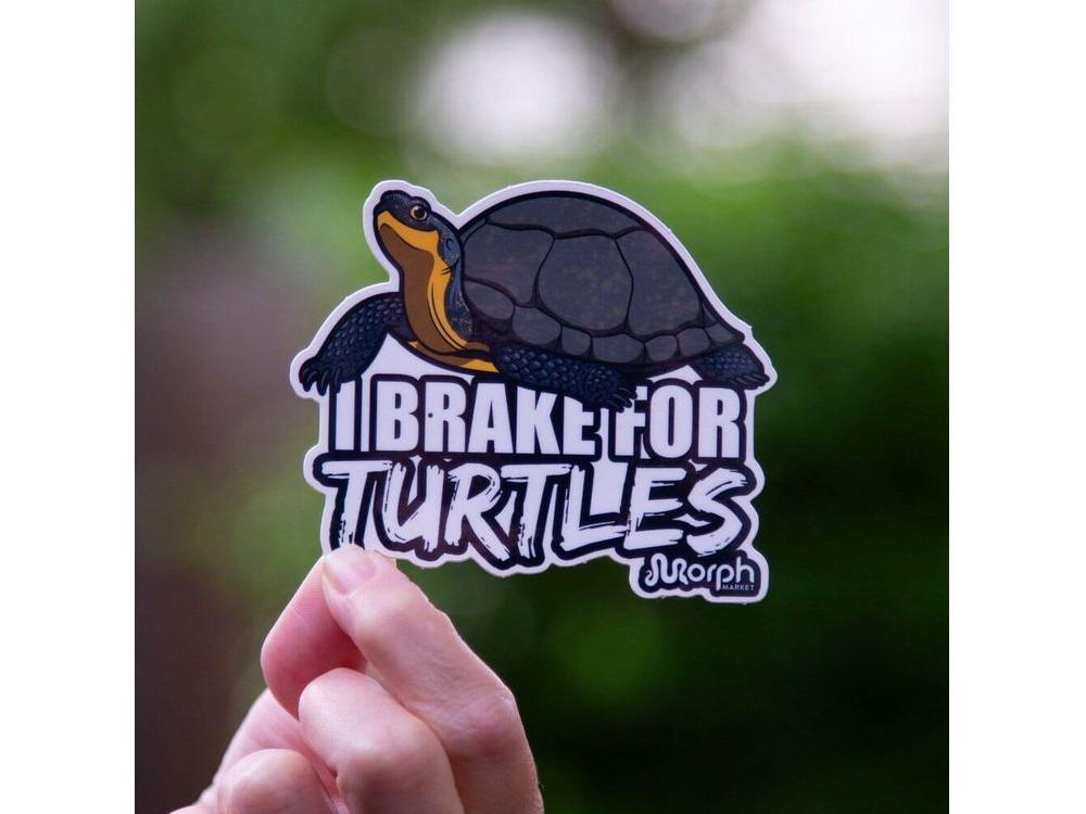 I Brake For Turtles Sticker Sticker Dubia.com Die-Cut