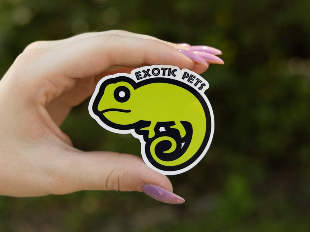 Exotic Pets Sticker Dubia.com