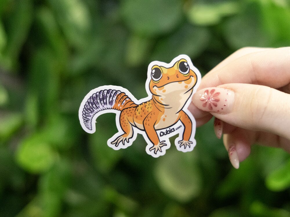 Orange Leopard Sticker Dubia.com
