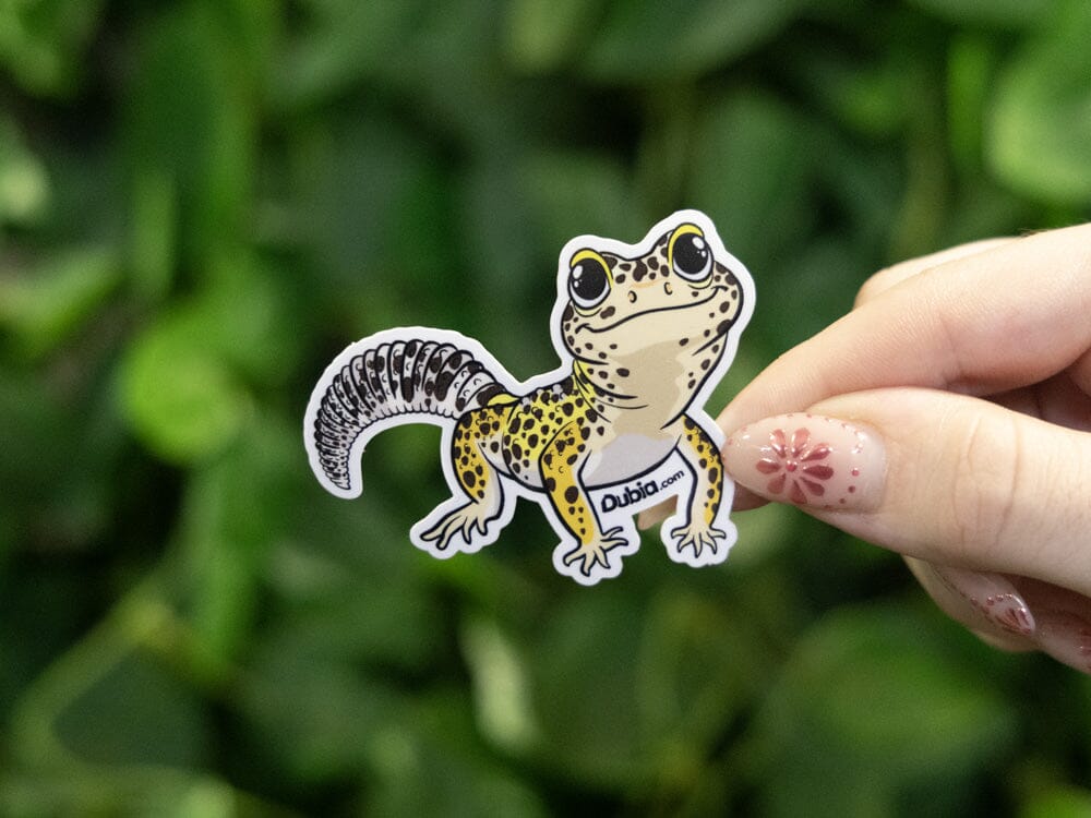 Yellow Leopard Sticker Dubia.com