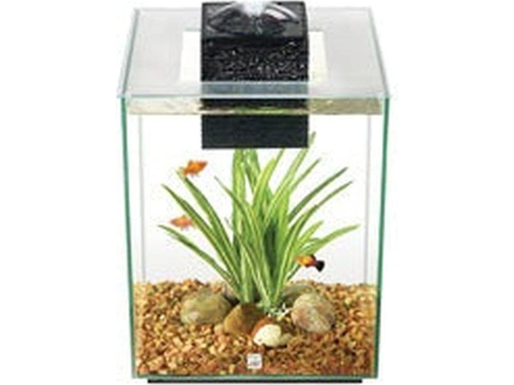 Fluval Chi - 19 L (5 US Gal) Fish Supplies Fluval