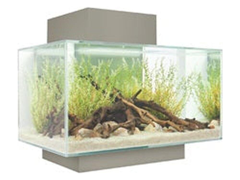 Fluval Edge 2.0 6 Gallon Aquarium White Fish Supplies Fluval
