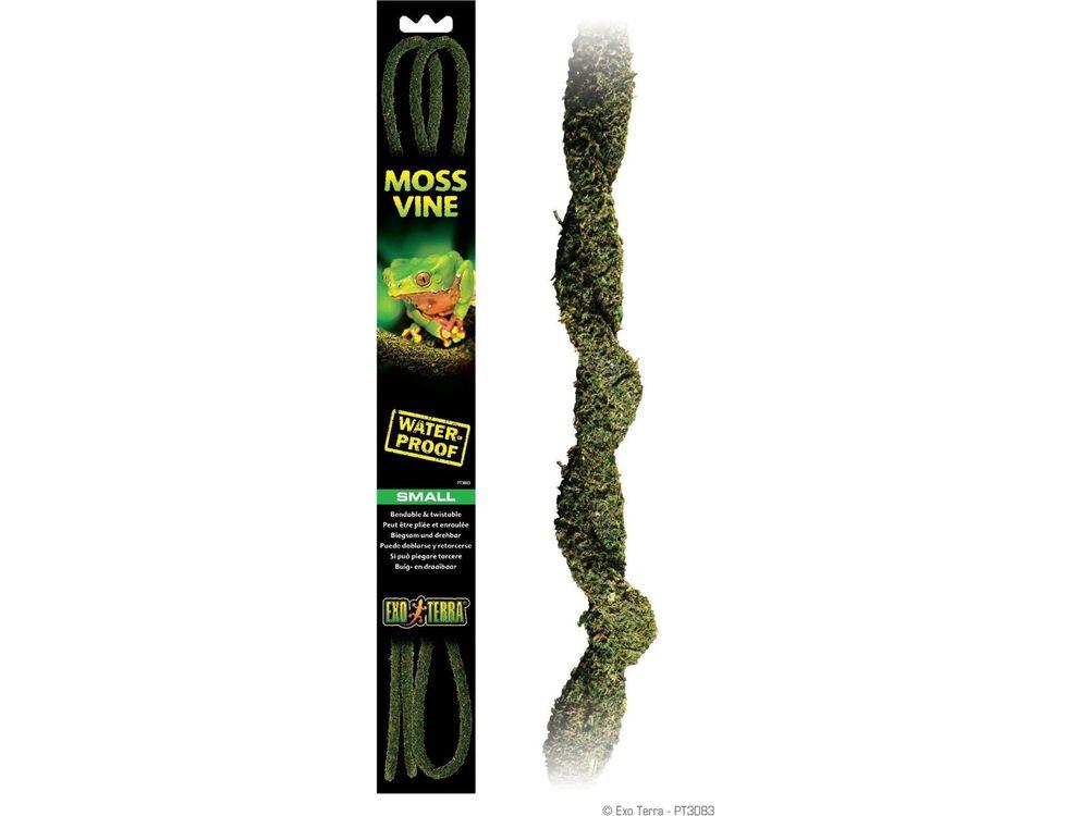 その他 OZWRT Dioscorea Elasmotherium ver.WC Exo Terra Moss Vines, Small | Dubia.com