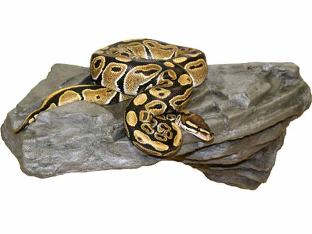Lg X-tra Strong Rock Ledge Granite Magnaturals