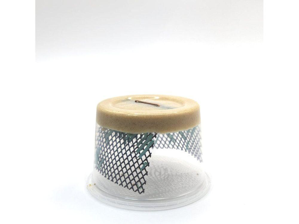 Medium Hornworms hornworms DubiaRoaches.com 24ct