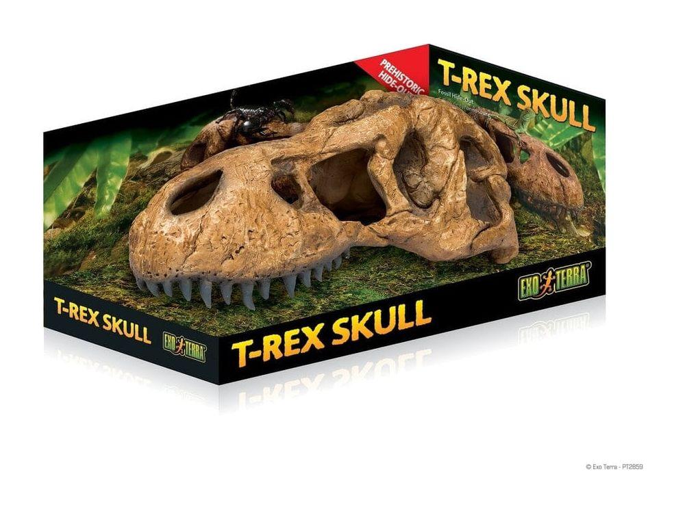Exo Terra T-Rex Skull Exo Terra
