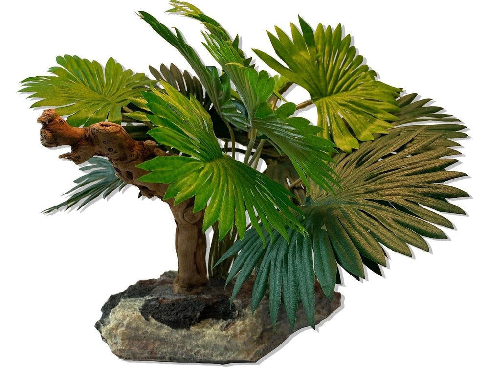 Mini Fan Palm w/Driftwood