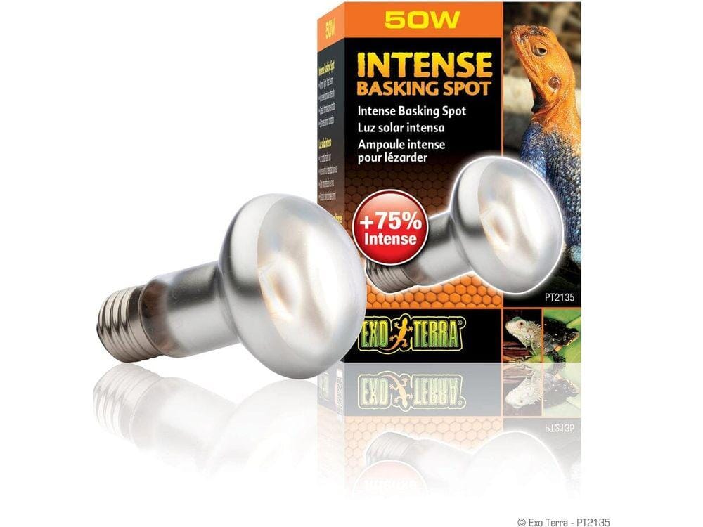 Damaged Box! Exo Terra Intense Basking Spot 50W Auction