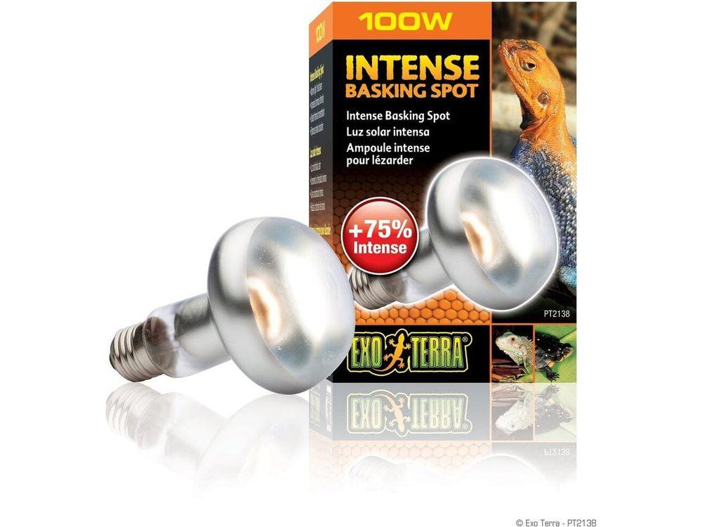 Exo Terra Intense Basking Spot, 100w Exo Terra