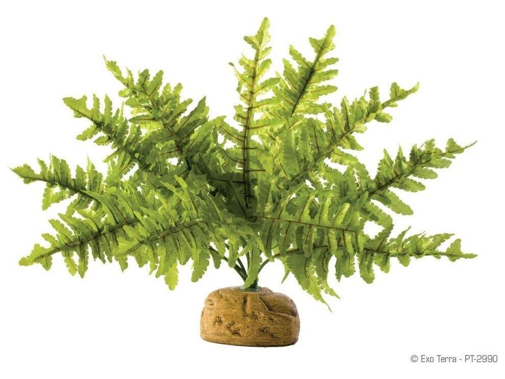 Exo Terra Boston Fern, Small Exo Terra
