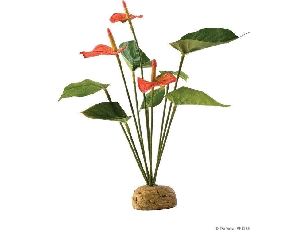 Exo Terra Anthurium Bush Exo Terra