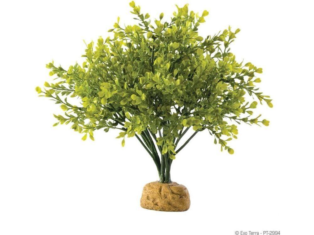 Exo Terra Boxwood Bush Exo Terra
