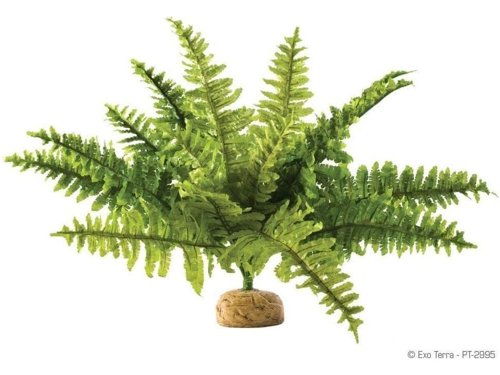 Exo Terra Boston Fern, Medium Exo Terra