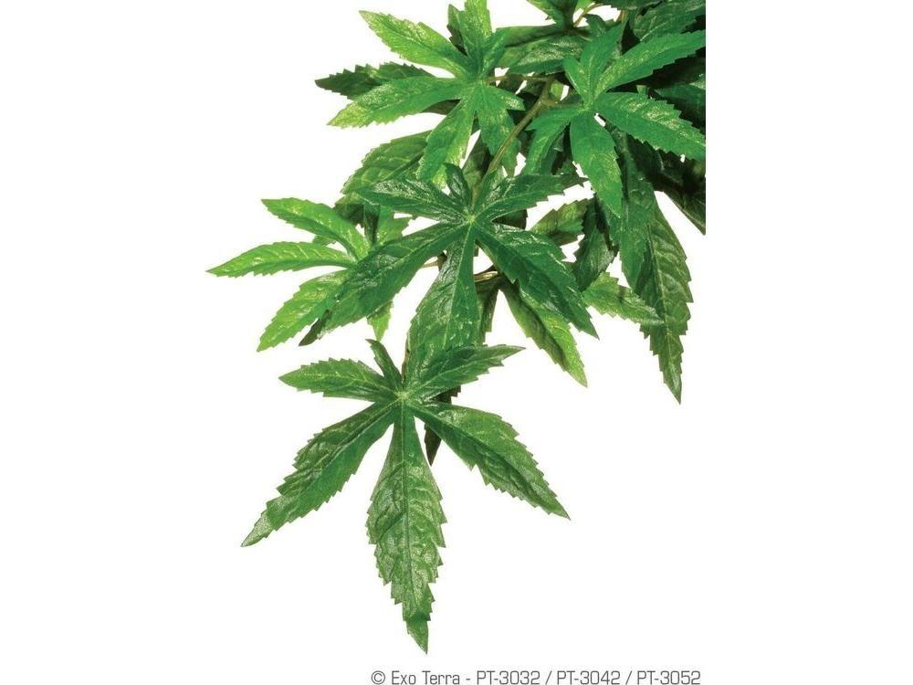 Exo Terra Abutilon, Medium Exo Terra