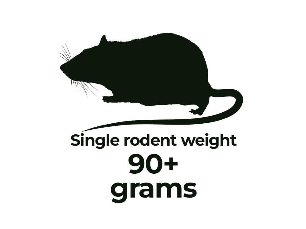 Rodents - Shipping Included