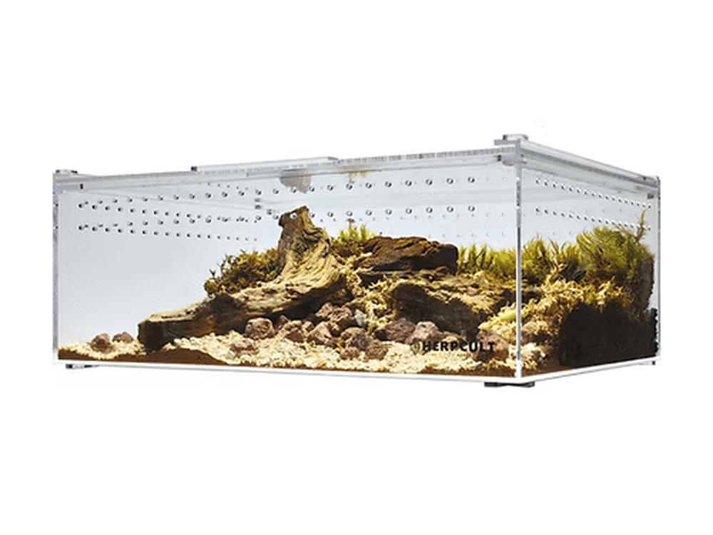 Thumbnail for Acrylic Basic Dubia Enclosures