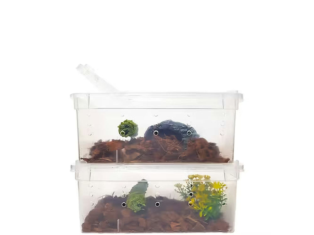 Photo inspiration: Herpcult Small Breeding Box Photo Inspiration
