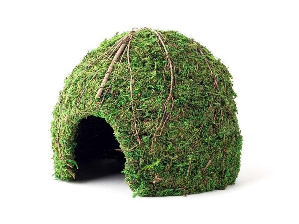 Galapagos Mossy Dome Terrarium Hideaway Fresh Green, 1ea/9 in