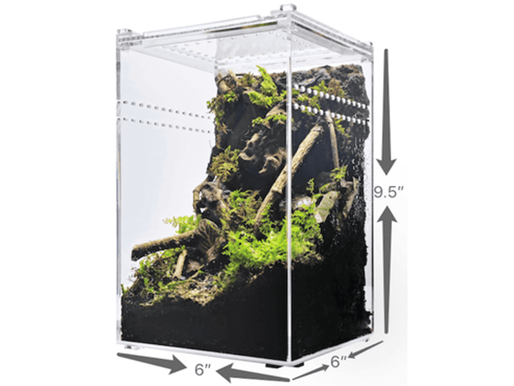 Herpcult Acrylic Enclosure Small-Tall 6"x6"x9.5" Herpcult