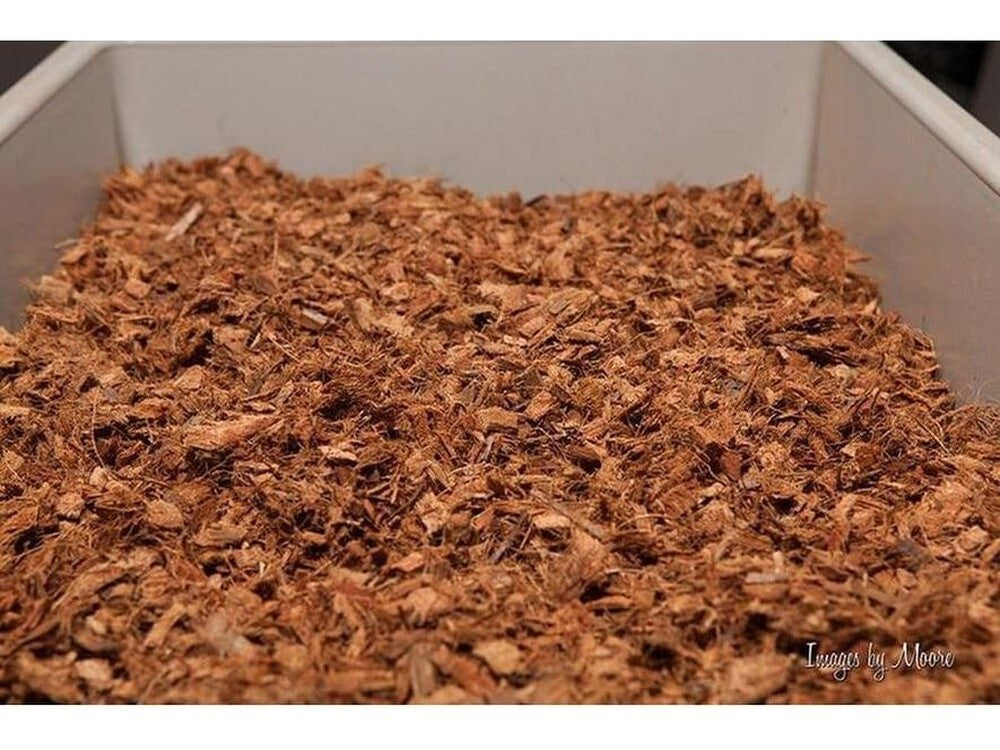 Premium Pet Beddingâ?¢ Bark supplies DubiaRoaches.com