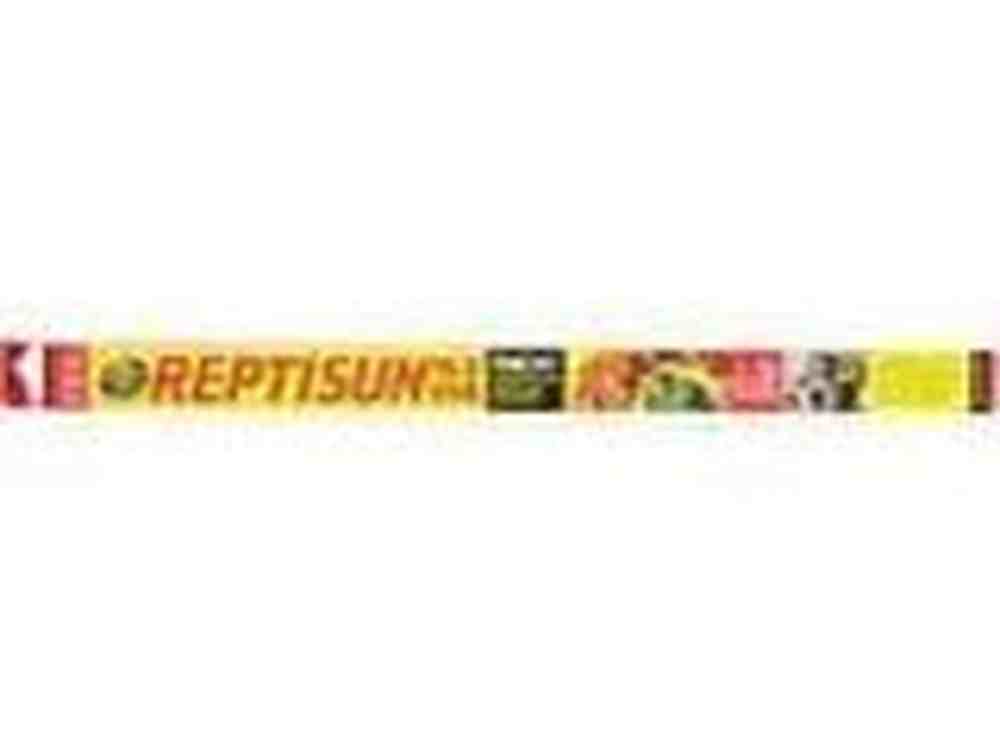 Zoo Med ReptiSun 10.0 UVB T8 Fluorescent Lamp White, 1ea/18 in