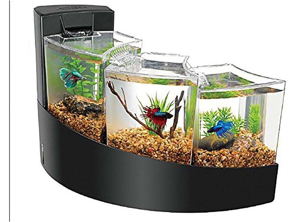 Aqueon Betta Falls Kit Black 1ea/One Size Fish Supplies Aqueon