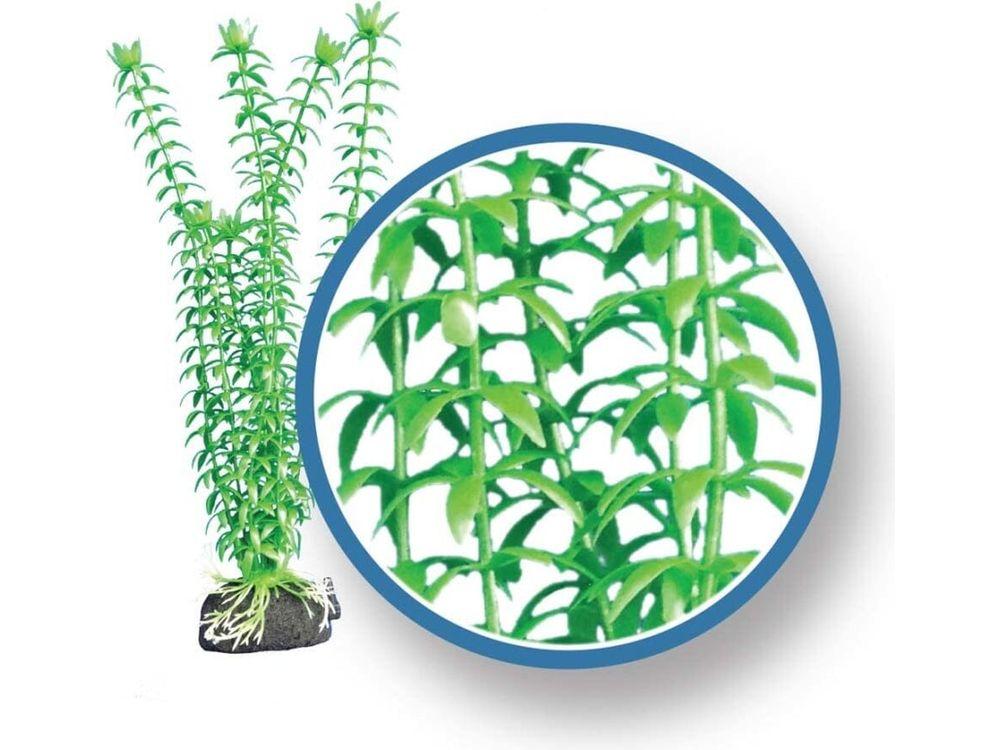 Weco Products Freshwater Pro Series Tonina Aquarium Plant Green, 1ea/9 in Aquatic Decor Weco