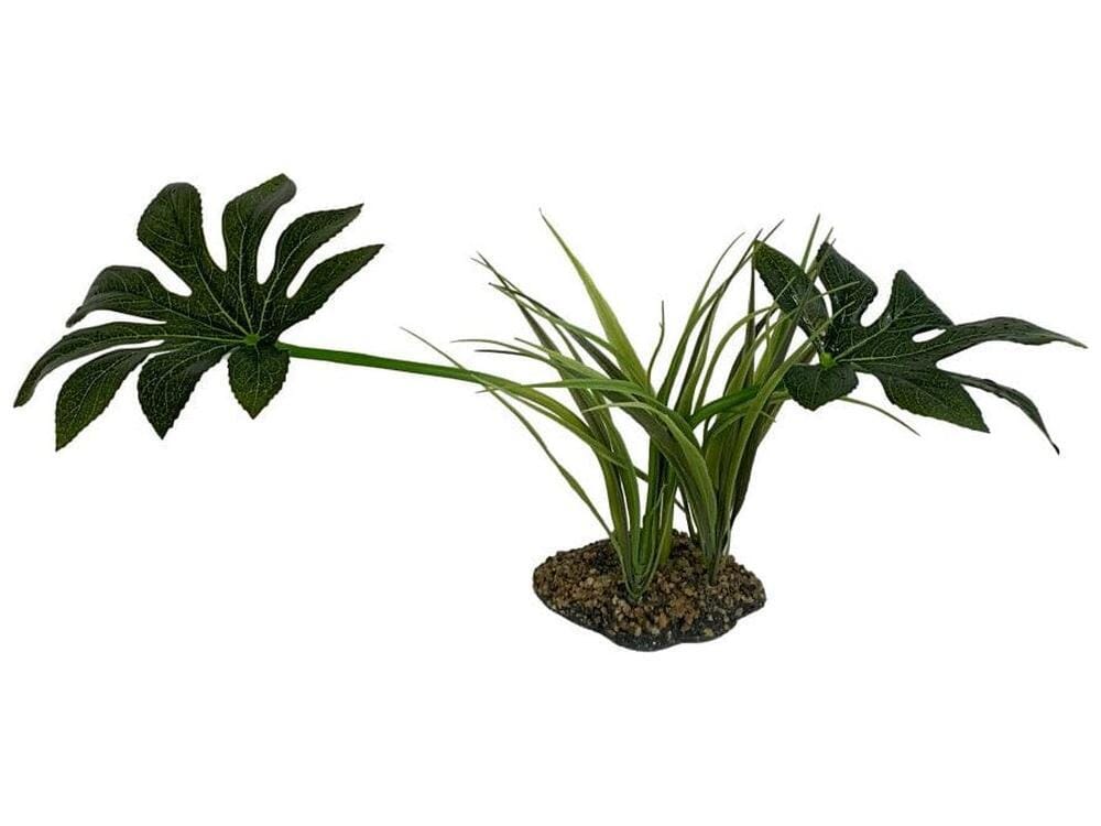 Komodo Jungle Canopy Plant 1ea/10 in