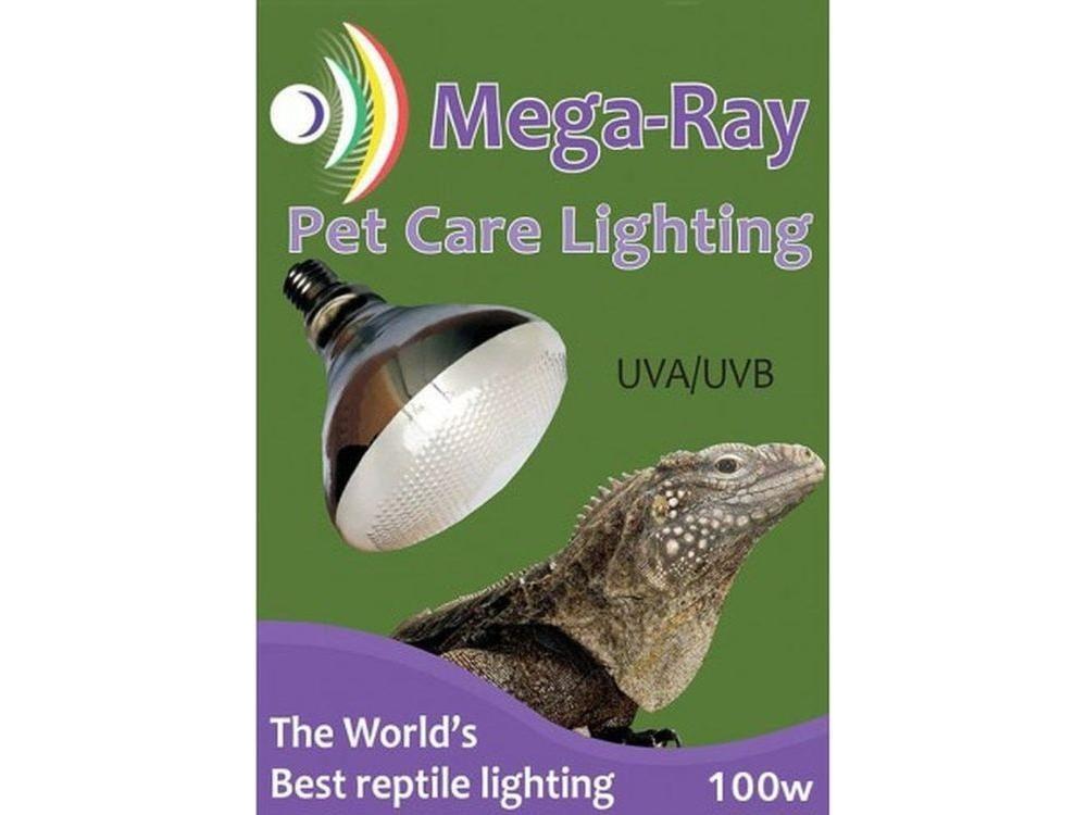 Mega-Ray Mercury Vapor Bulb, 100w Reptile Supply –
