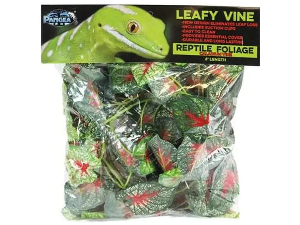Pangea Leafy Vine Caladium (6ft) Animals & Pet Supplies Pangea