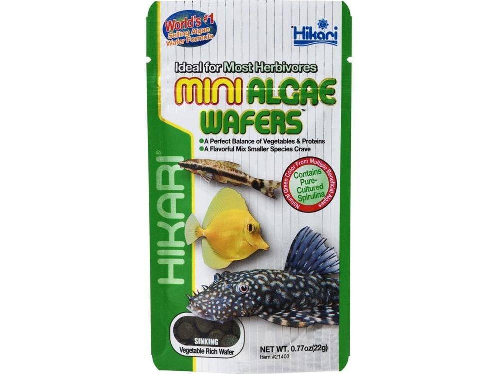 Hikari Mini Algae Wafers Sinking Wafer Fish Food 0.77 oz Aquatic Diet Hikari