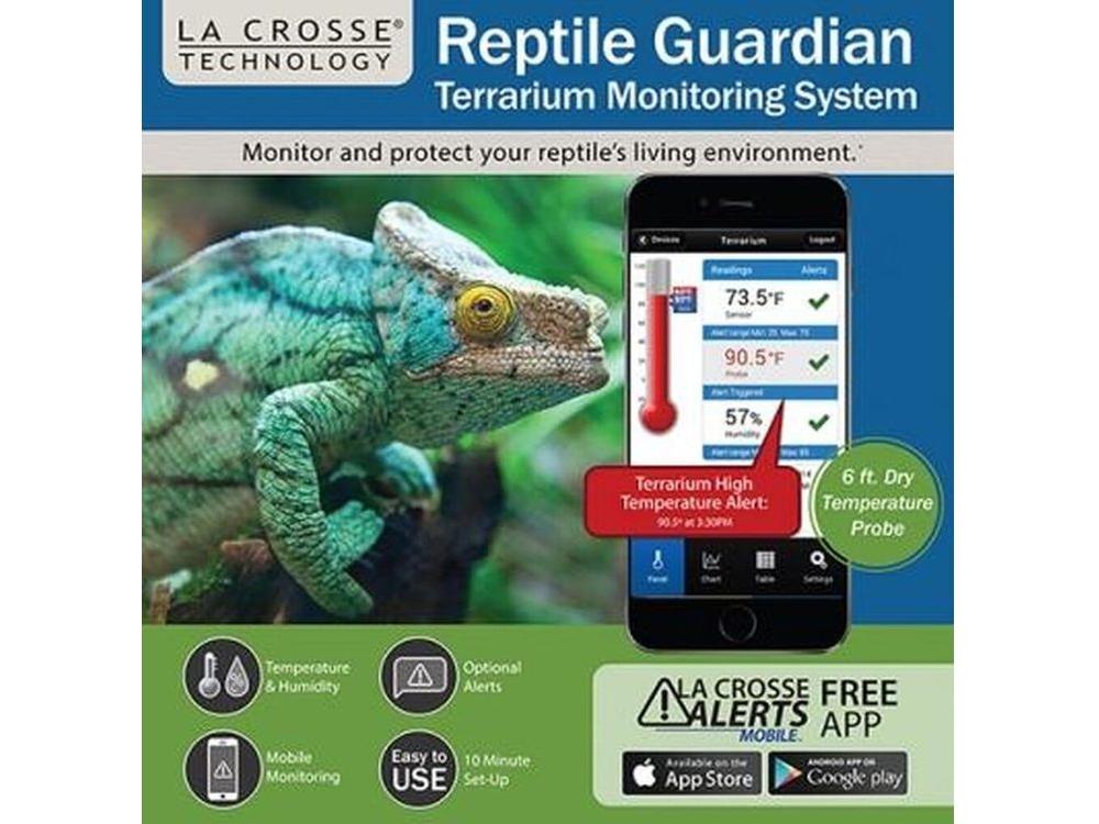 My experience with reptile humidity levels