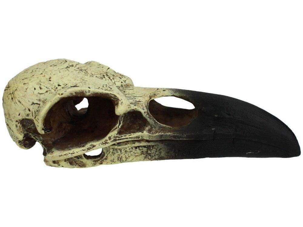 Komodo Raven Skull Hideout MED Komodo