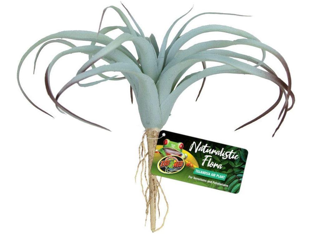 Zoo Med Naturalistic Flora Tillandsia Air Plant Terrarium Plant Gray, Tan, 1ea Animals & Pet Supplies > Pet Supplies > Fish Supplies Zoo Med