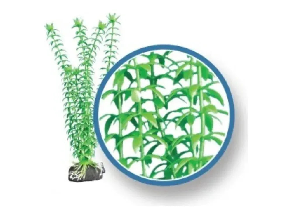 Weco Wonder Plant Freshwater Pro, Tonina 9" Fish Supplies Weco