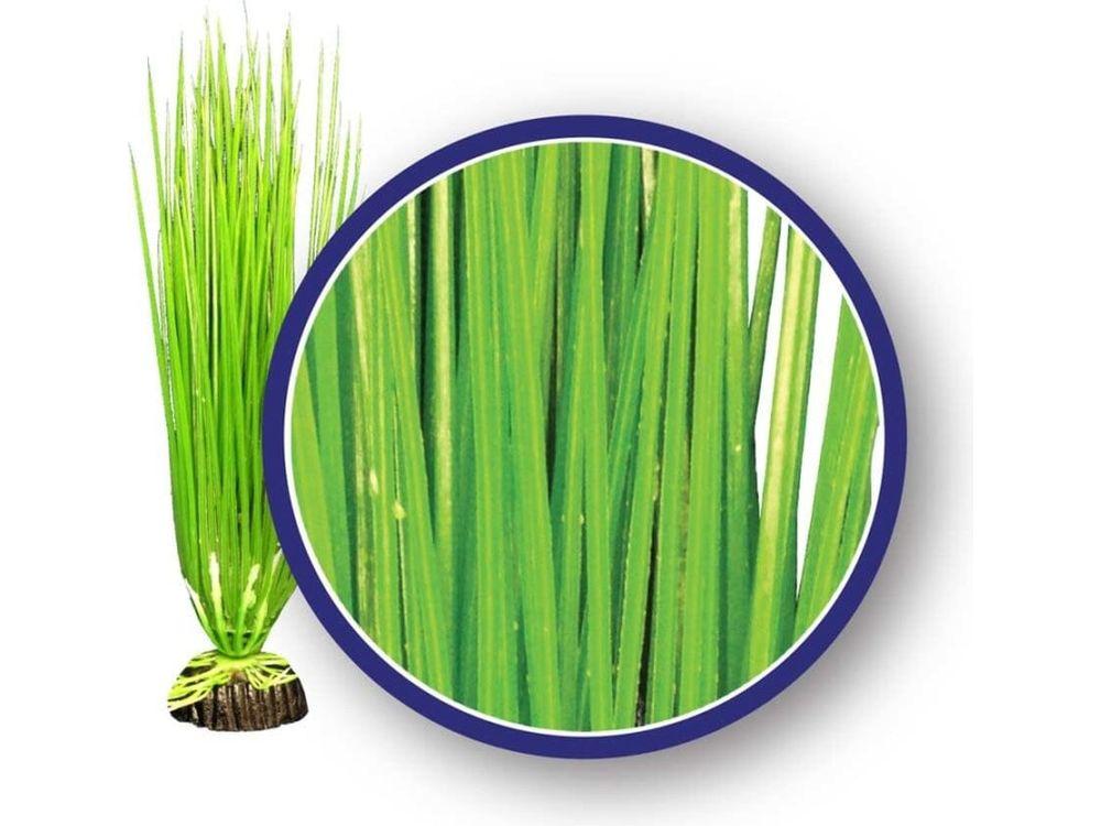 Weco Products Freshwater Series Asian Hairgrass Aquarium Plant Green, 1ea/6 in Aquatic Decor Weco