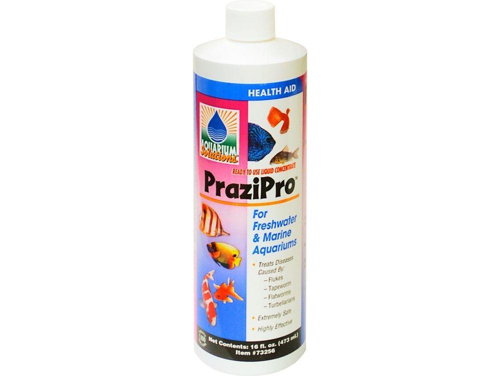 Aquarium Solutions Prazipro Liquid Treatment 1ea/16 fl oz Animals & Pet Supplies > Pet Supplies > Fish Supplies Aquarium Solutions