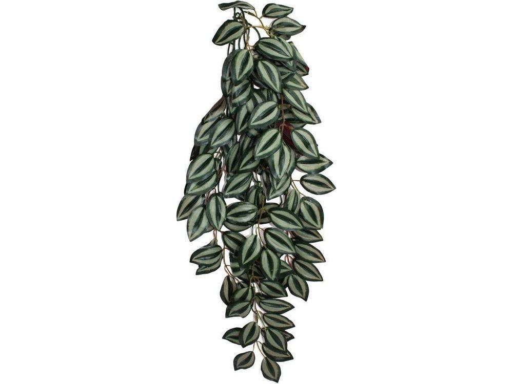 Komodo Zebrina Hanging Plant 1ea/LG, 26 in reptile supplies Komodo