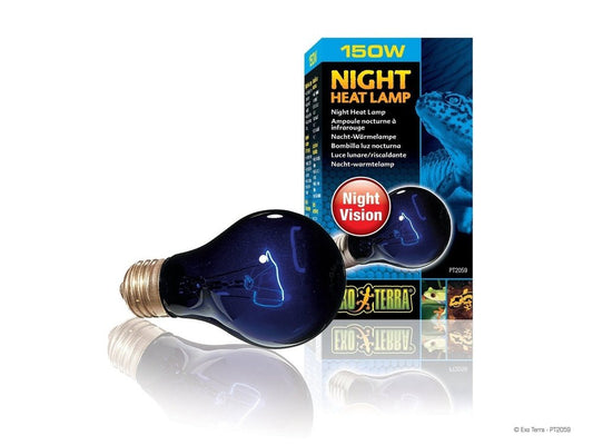 Exo Terra Night Heat Lamp, 150w - Dubia.com
