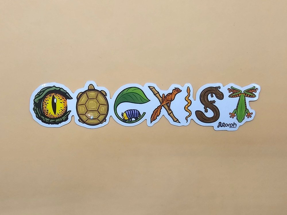 Color MorphMarket Coexist Sticker