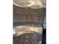 200ct Live Scuds Hyalella azteca Auction