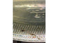 200ct Live Scuds Hyalella azteca Auction