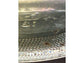 200ct Live Scuds Hyalella azteca Auction