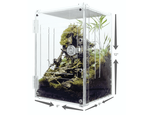 Herpcult Acrylic Enclosure Front-Opening Small (With slits and lock) 8"x8"x12" Herpcult 